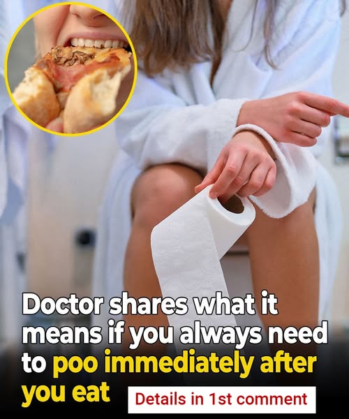 Doctor shares what it means if you always need to poo immediately after you eat (it isn’t just IBS)