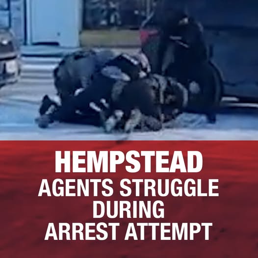 Immigration Agents Struggle to Take Person Into Custody During Hempstead Encounter