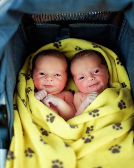 Sorry Mom, I Could Not Leave Them, My 16-Year-Old Son Said When He Brought Newborn Twins Home!