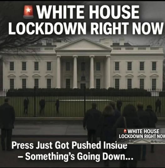 Demonstrators Converge at the White House as U.S. Airstrikes in Venezuela and the Capture of Nicolás Maduro Ignite Protests, Constitutional Debate, Global Repercussions, and Deep Divisions at Home and Abroad