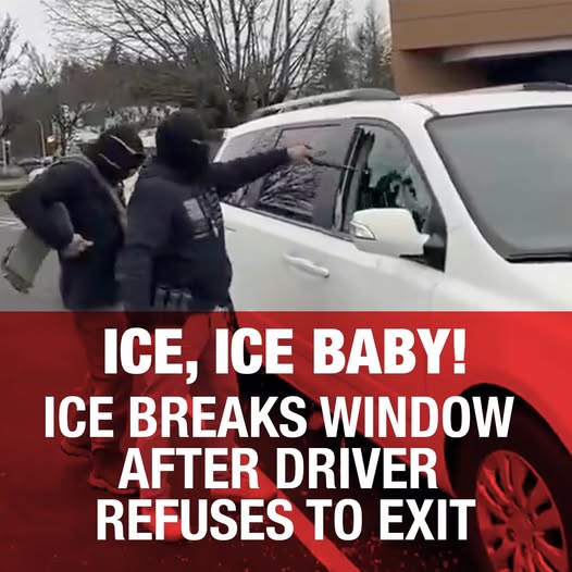 Video Shows ICE Agents Breaking Car Window After Occupants Refuse to Exit